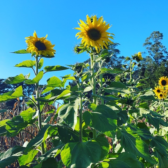 Meet your Posher, Amber - Picture 5 of 5